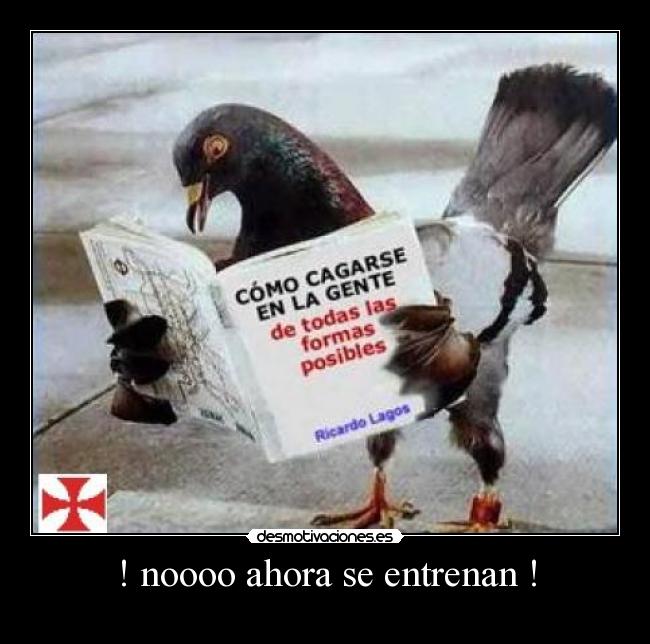 ! noooo ahora se entrenan ! -