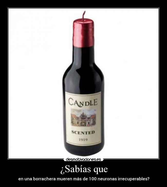 ¿Sabías que - en una borrachera mueren más de 100 neuronas irrecuperables?