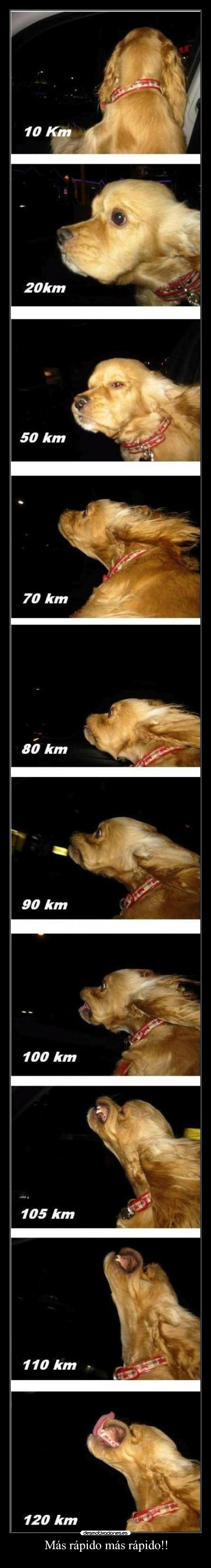 Más rápido más rápido!! - 
