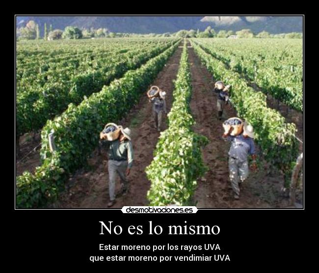 No es lo mismo - Estar moreno por los rayos UVA
que estar moreno por vendimiar UVA