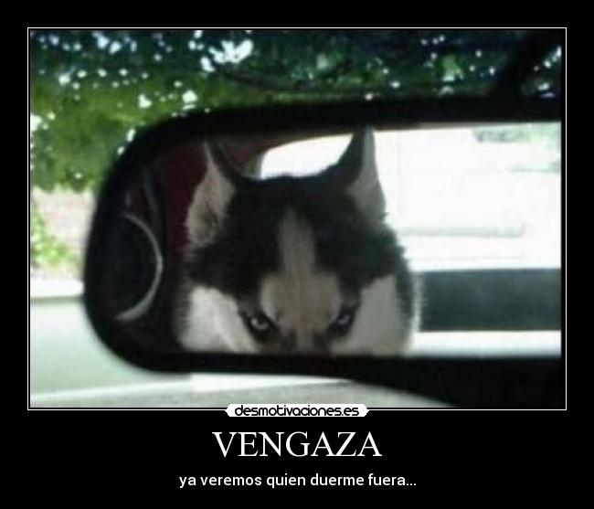 VENGAZA -