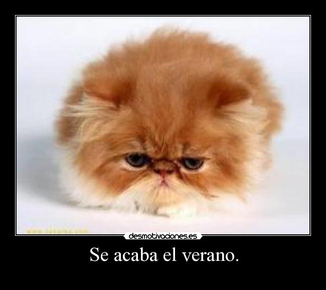 Se acaba el verano. -