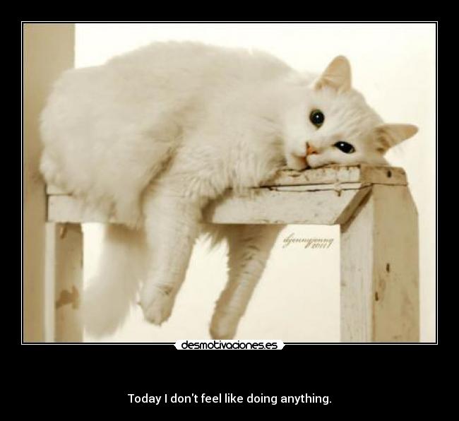   - Today I dont feel like doing anything.