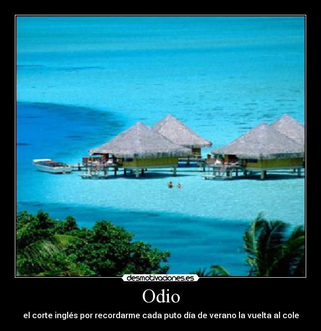 Odio - 