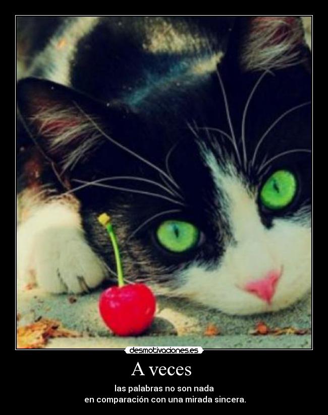 A veces - las palabras no son nada
en comparación con una mirada sincera.