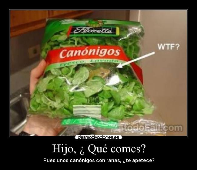 Hijo, ¿ Qué comes? - Pues unos canónigos con ranas, ¿ te apetece?