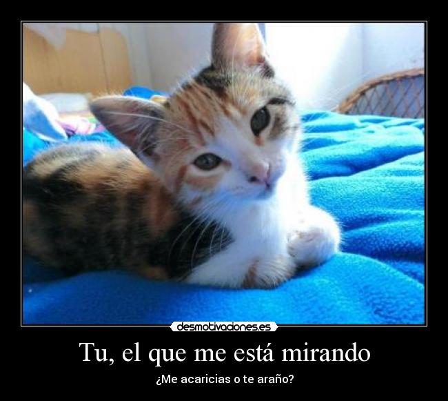 Tu, el que me está mirando -