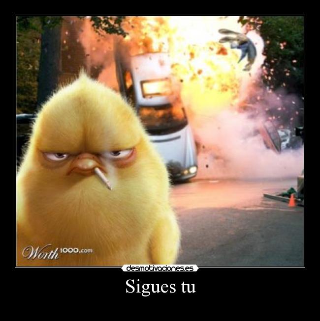 carteles pollito desmotivaciones