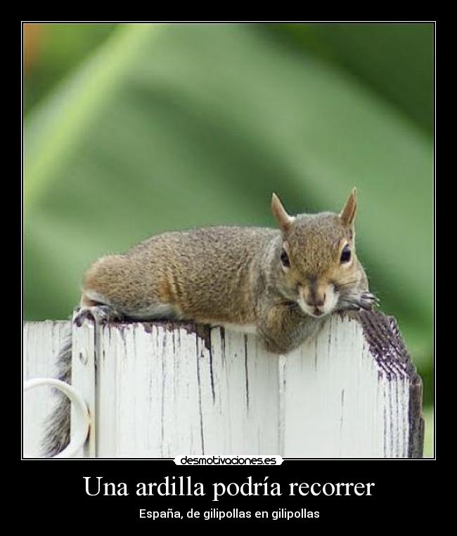 Una ardilla podría recorrer - España, de gilipollas en gilipollas