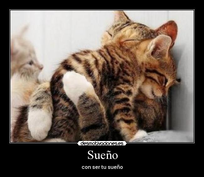 Sueño - con ser tu sueño