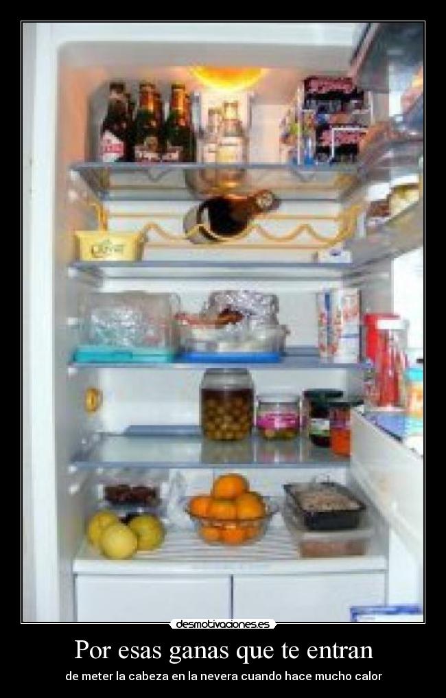 Por esas ganas que te entran - de meter la cabeza en la nevera cuando hace mucho calor