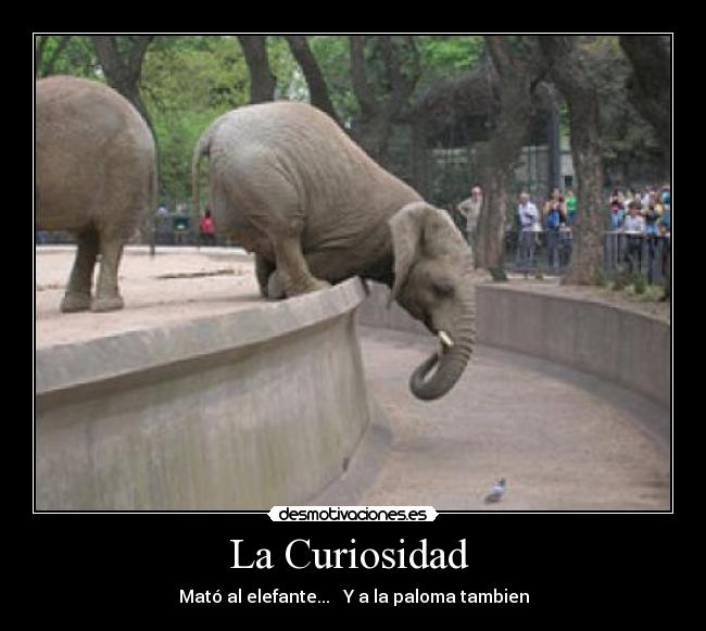 La Curiosidad -