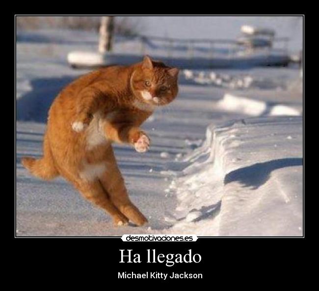 Ha llegado -