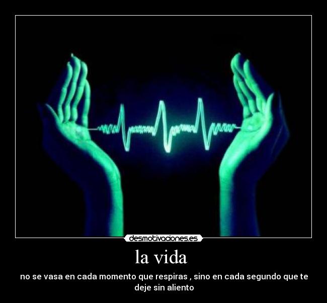 la vida  - 