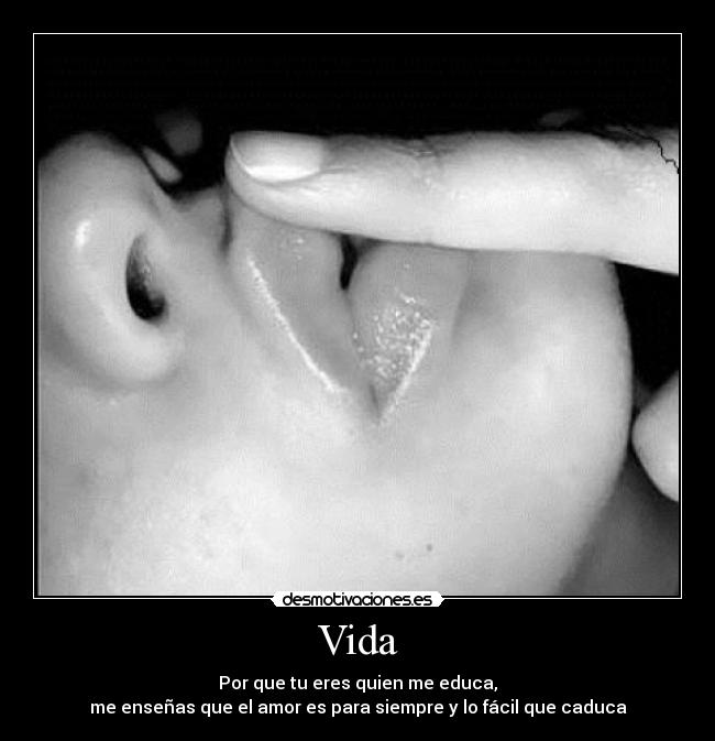 carteles vida vida desmotivaciones