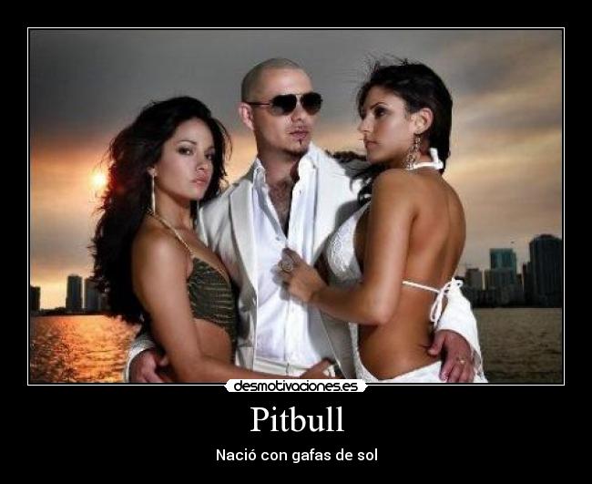 Pitbull -