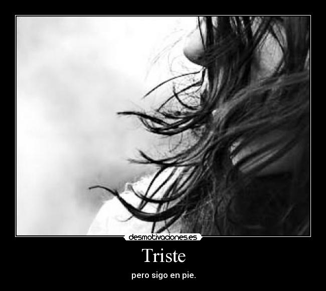 carteles aqui sigo desmotivaciones