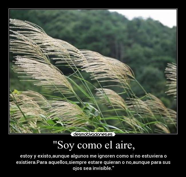 Soy como el aire, - estoy y existo,aunque algunos me ignoren como si no estuviera o
existiera.Para aquellos,siempre estare quieran o no,aunque para sus
ojos sea invisible.