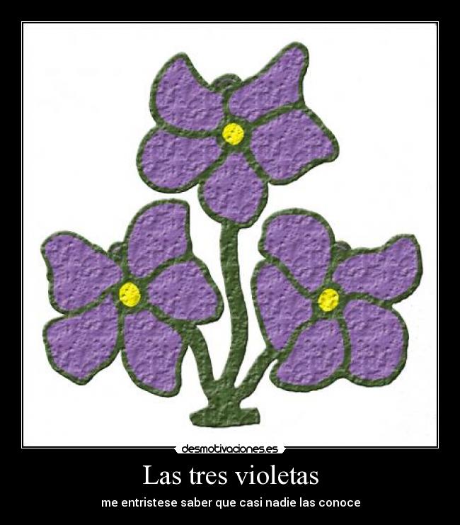 Las tres violetas - me entristese saber que casi nadie las conoce