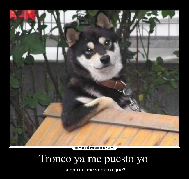 Tronco ya me puesto yo -