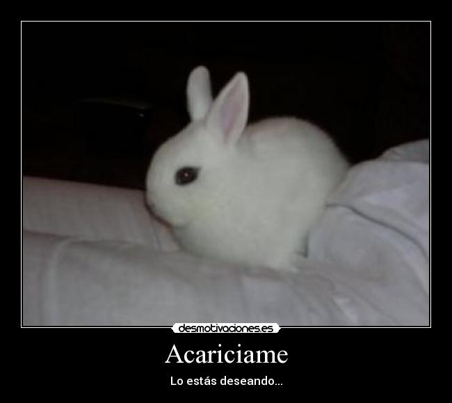 Acariciame -