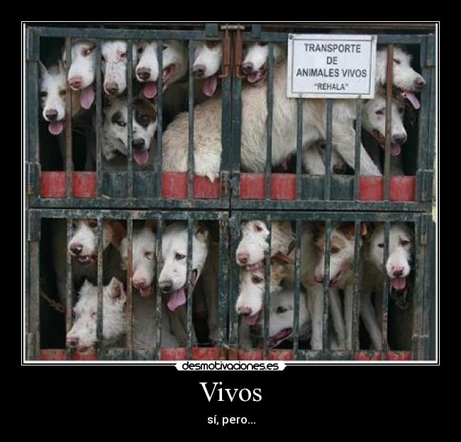 Vivos - 