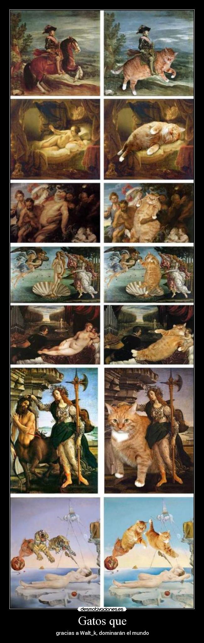 Gatos que - gracias a Walt_k, dominarán el mundo