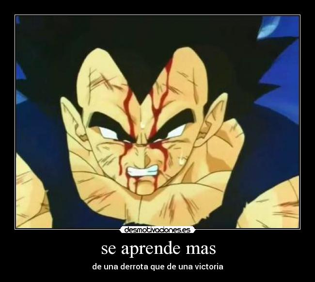 se aprende mas - de una derrota que de una victoria