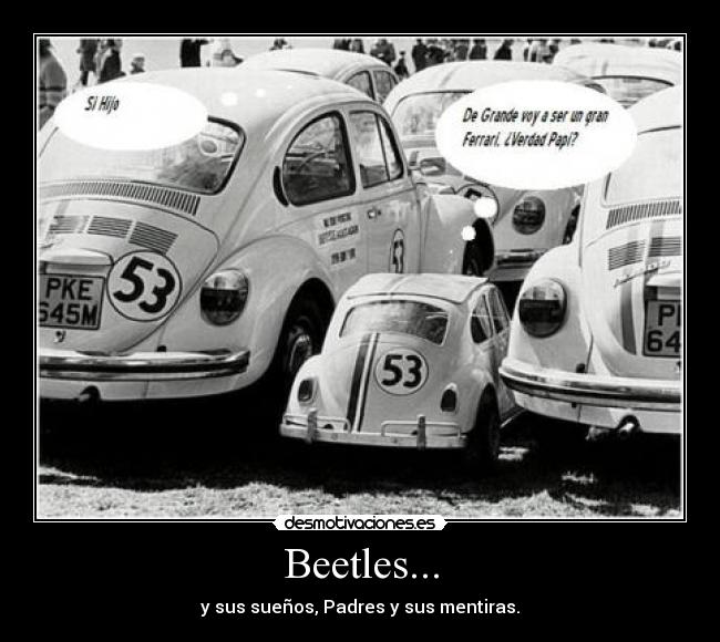 Beetles... - 