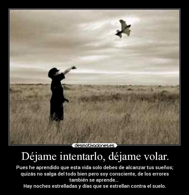 Déjame intentarlo, déjame volar. -