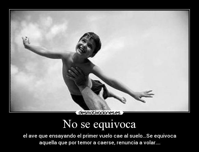 No se equivoca - el ave que ensayando el primer vuelo cae al suelo...Se equivoca
aquella que por temor a caerse, renuncia a volar....