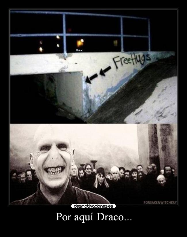 carteles voldemort bueno desmotivaciones