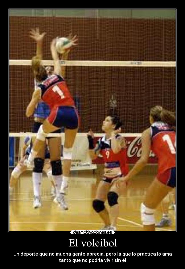 Imagenes Motivacionales De Voleibol | im 225 genes y carteles de voleibol pag 2 desmotivaciones Imagenes Motivacionales De Voleibol | im 225 genes y carteles de voleibol pag 2 desmotivaciones