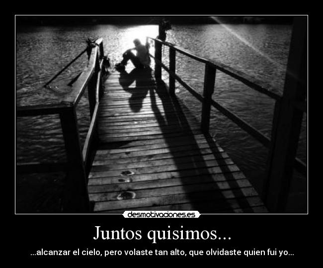 Juntos quisimos... -