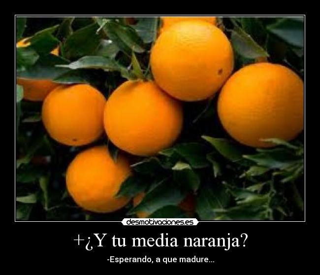 +¿Y tu media naranja? -