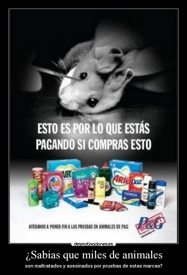 ¿Sabias que miles de animales - son maltratados y asesinados por pruebas de estas marcas?