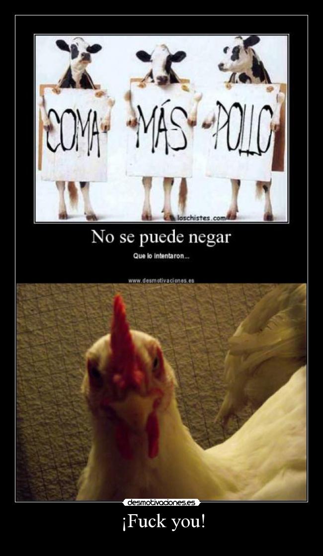 carteles pollo enojo e_e desmotivaciones