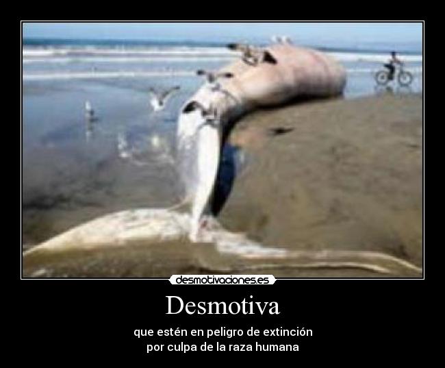 Desmotiva - que estén en peligro de extinción
por culpa de la raza humana