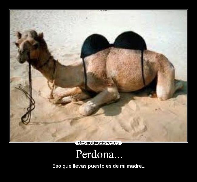 Perdona... -