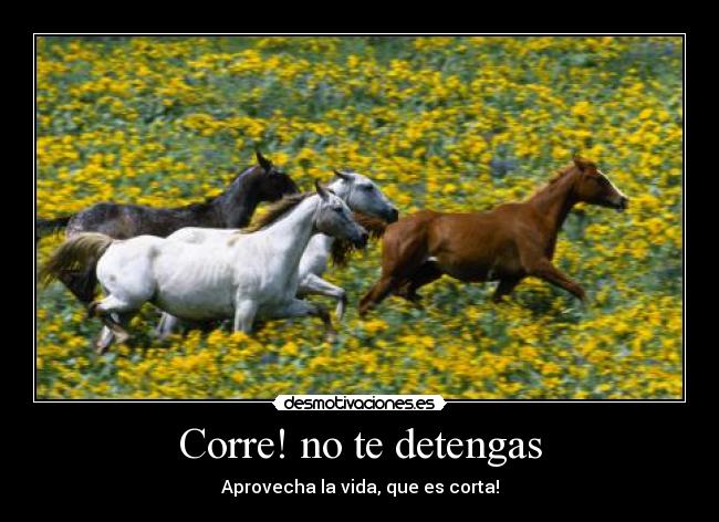 Corre! no te detengas -