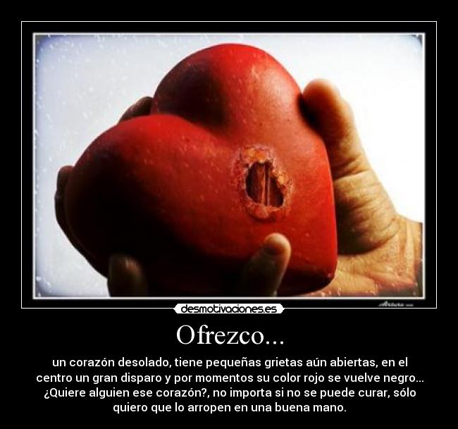 Ofrezco... -