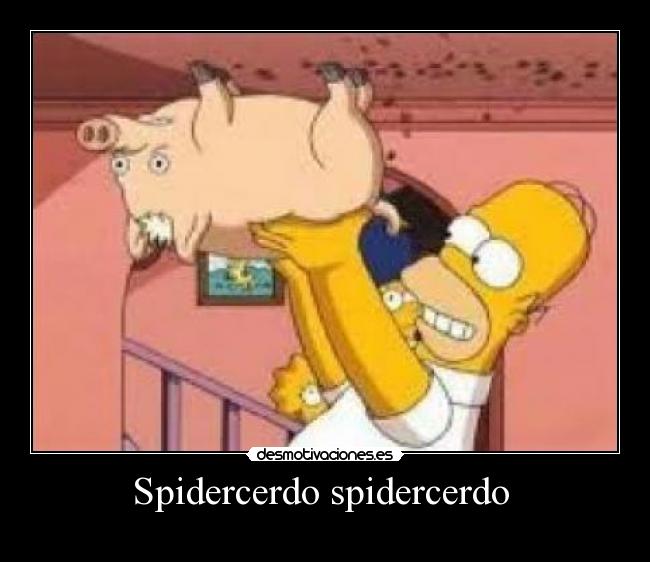 Spidercerdo spidercerdo -