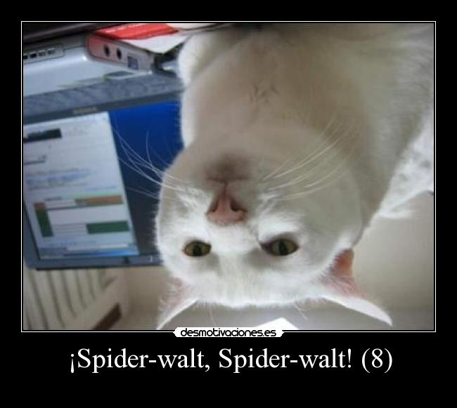 ¡Spider-walt, Spider-walt! (8) - 