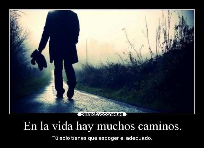 En la vida hay muchos caminos. - 
