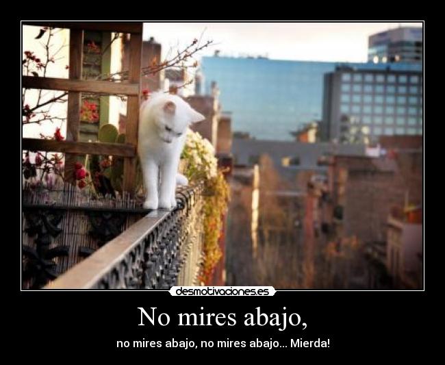 No mires abajo, - no mires abajo, no mires abajo... Mierda!