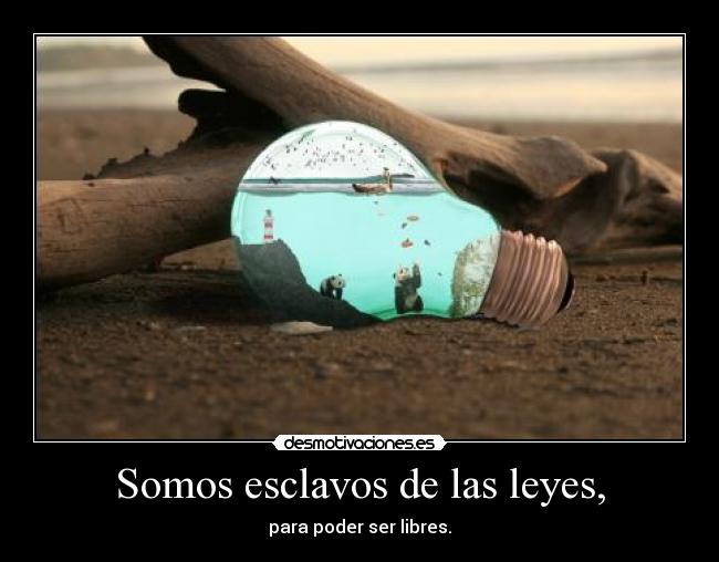 Somos esclavos de las leyes, - 