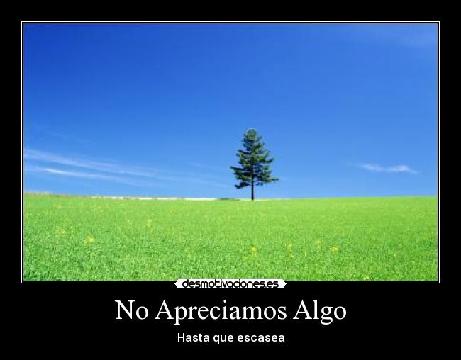 carteles arboles ascasear naturaleza ecologia desmotivaciones