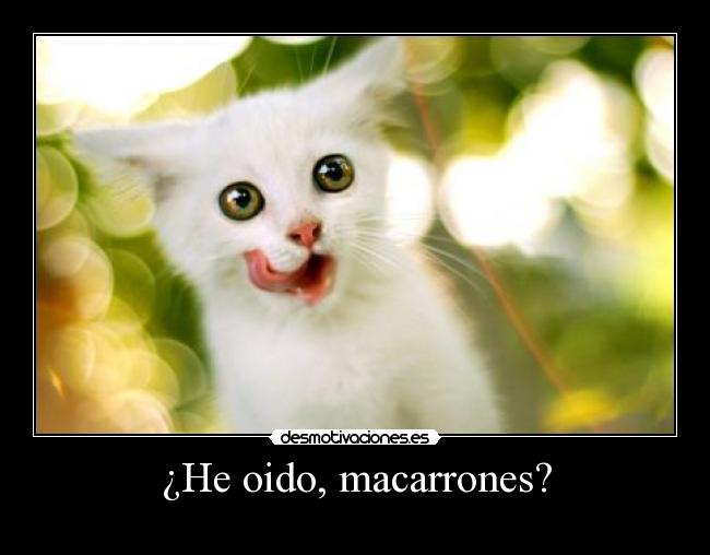 ¿He oido, macarrones? - 