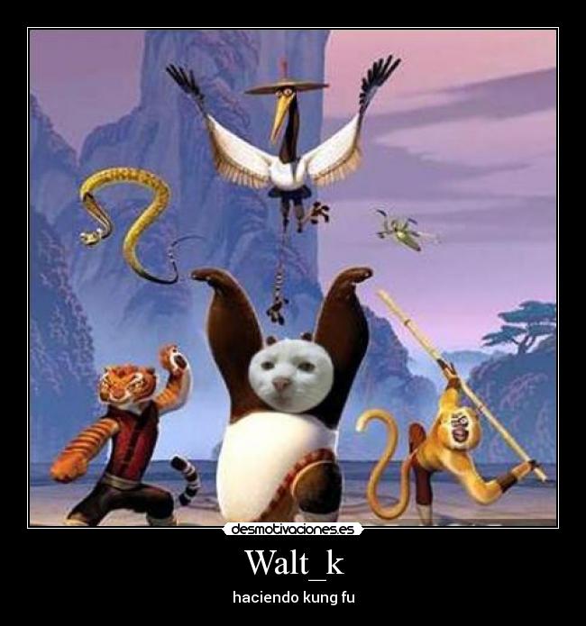 Walt_k - haciendo kung fu