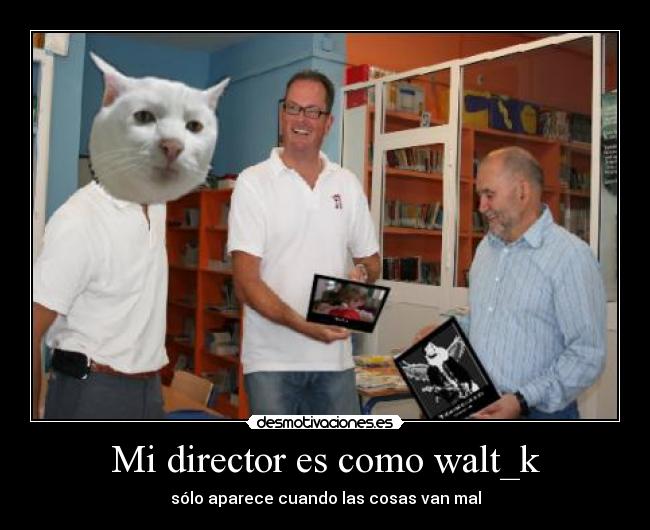 Mi director es como walt_k - 